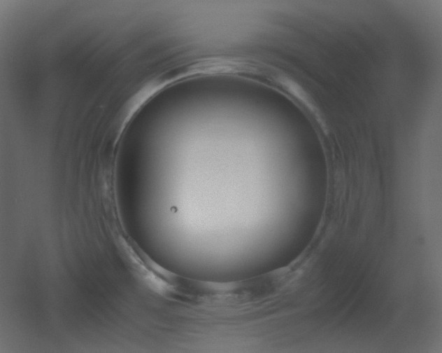 X0000053071481200507111205