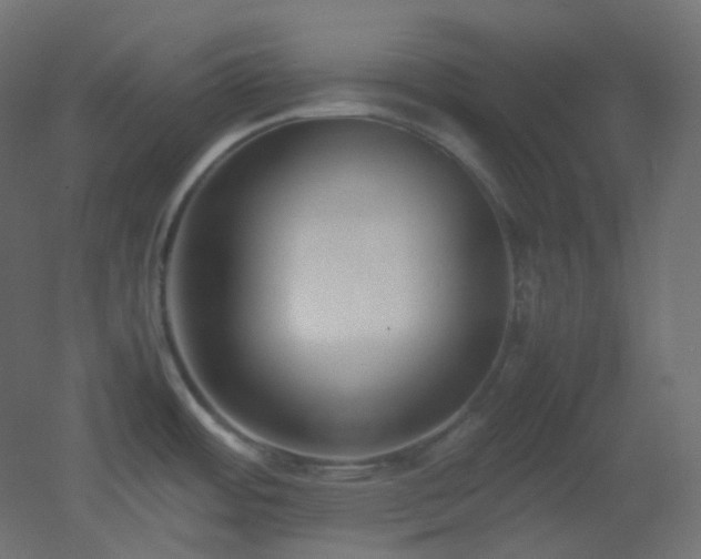 X0000053071484200507111205