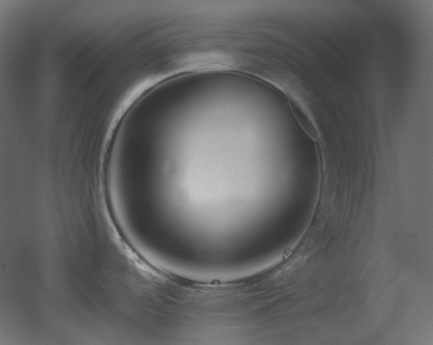 X0000053071488200507111205