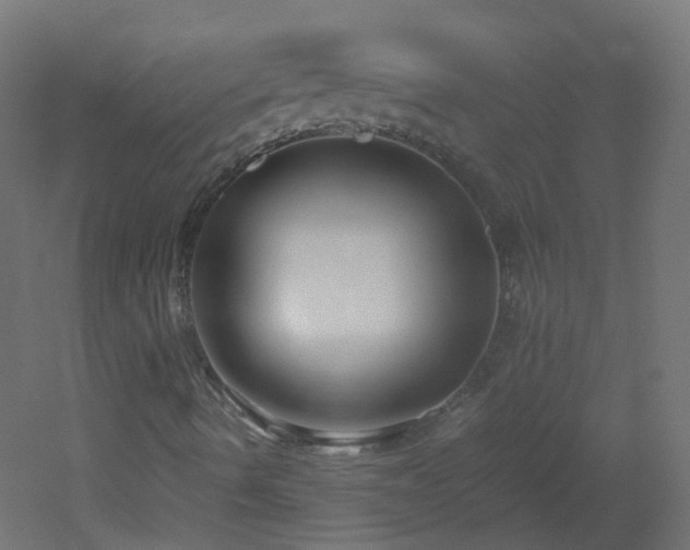 X0000053071490200507111204