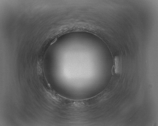 X0000053071491200507111204