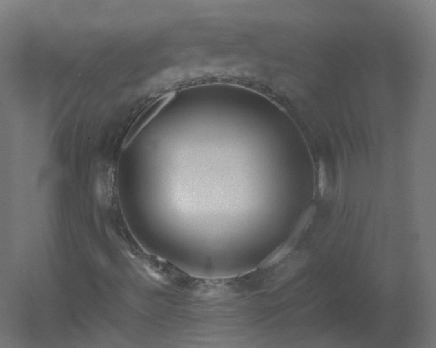 X0000053071492200507111204