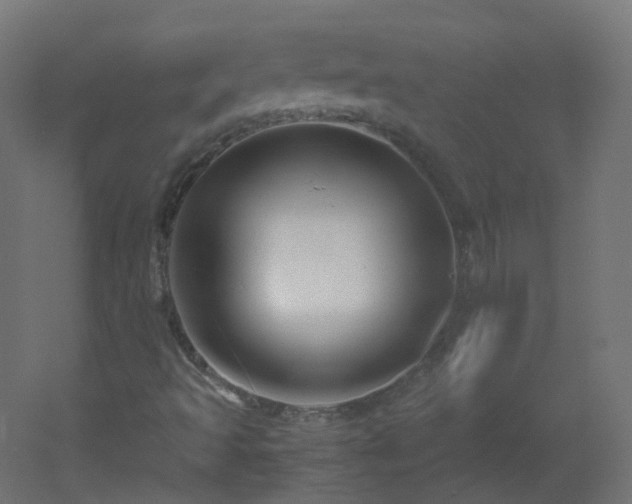 X0000053071493200507111204