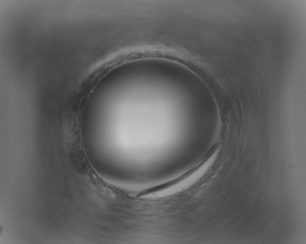 X0000053071494200507111204
