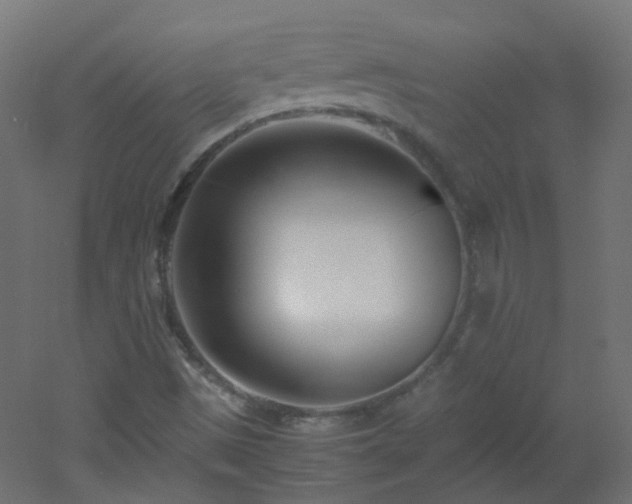 X0000053071497200507111204