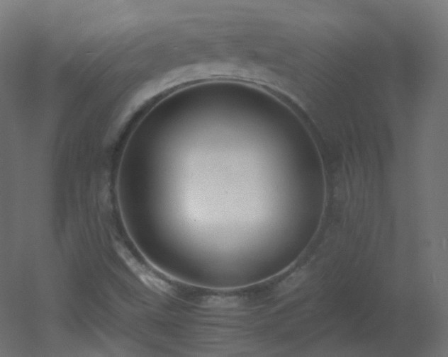 X0000053071499200507111204