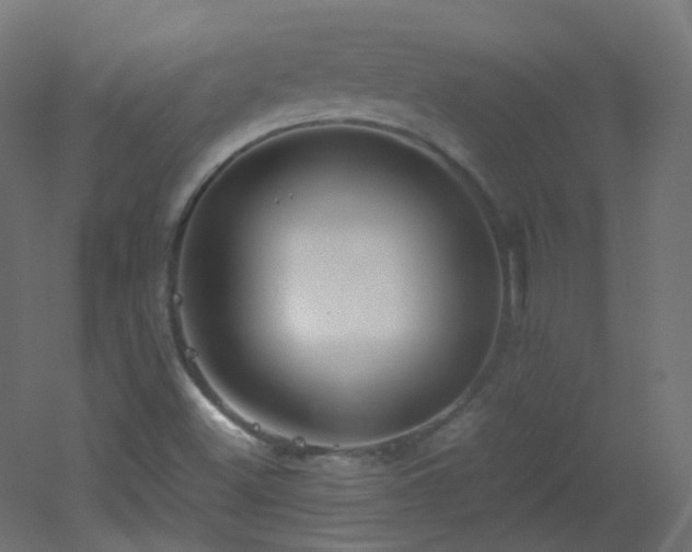 X0000053071500200507111204