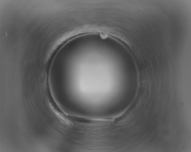 X0000053071507200507111204