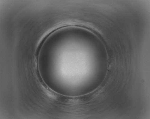 X0000053071509200507111205