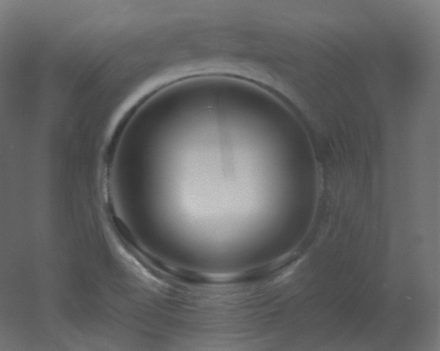 X0000053071510200507111205