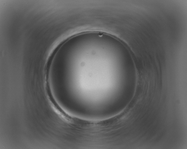 X0000053071511200507111205