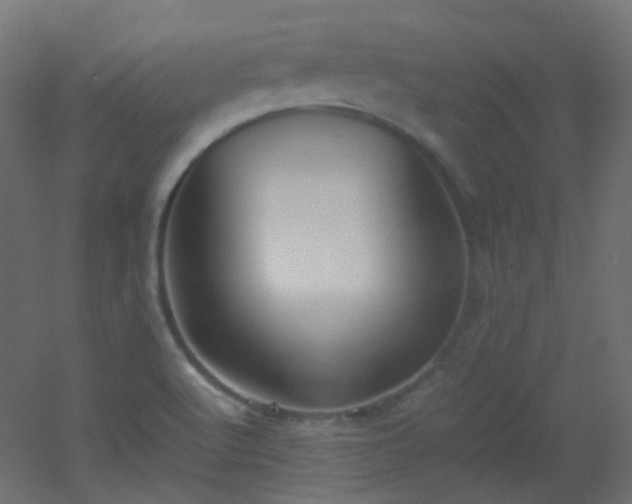 X0000053071512200507111205