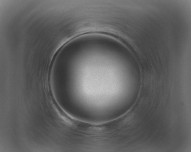 X0000053071513200507111205