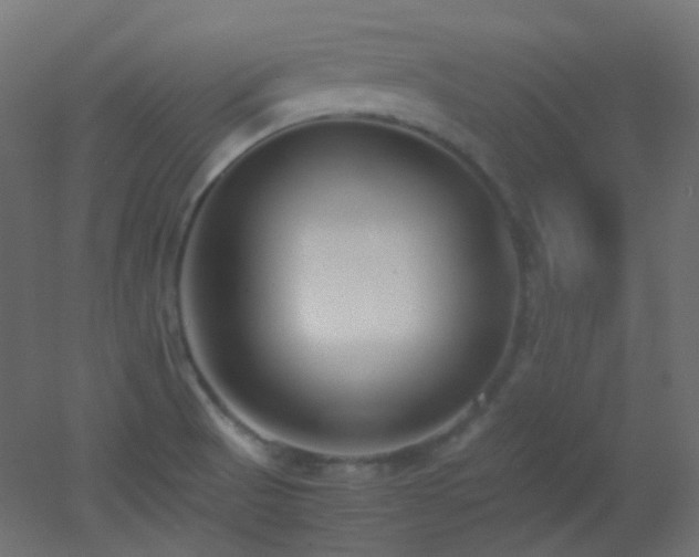 X0000053071521200507111205