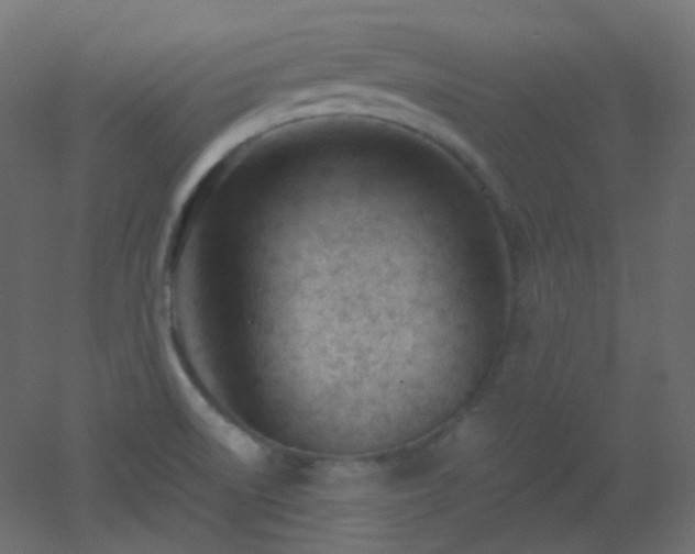 X0000053071522200507111205