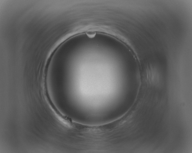 X0000053071525200507111205