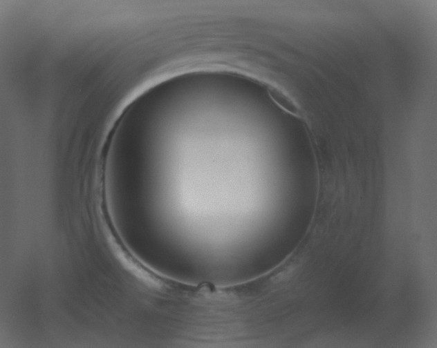 X0000053071526200507111205