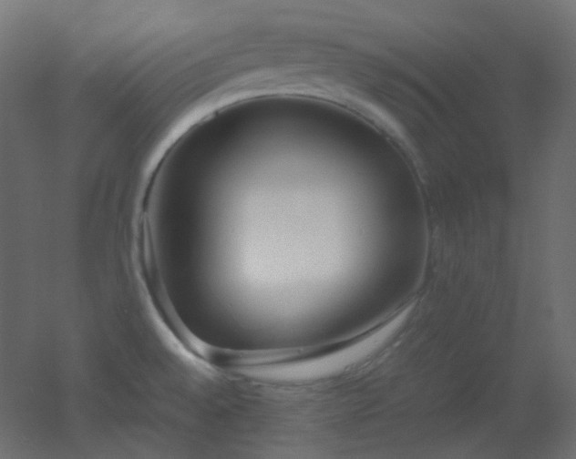 X0000053071528200507111205