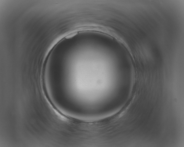 X0000053071533200507111205