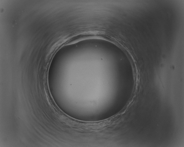 X0000053070001200507181638