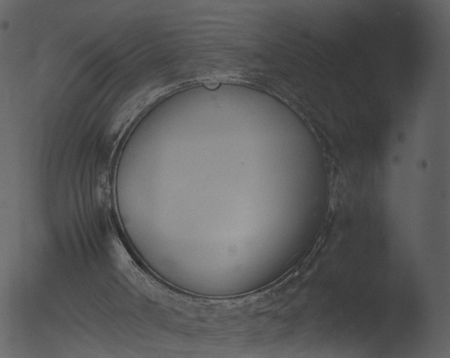 X0000053070002200507181638