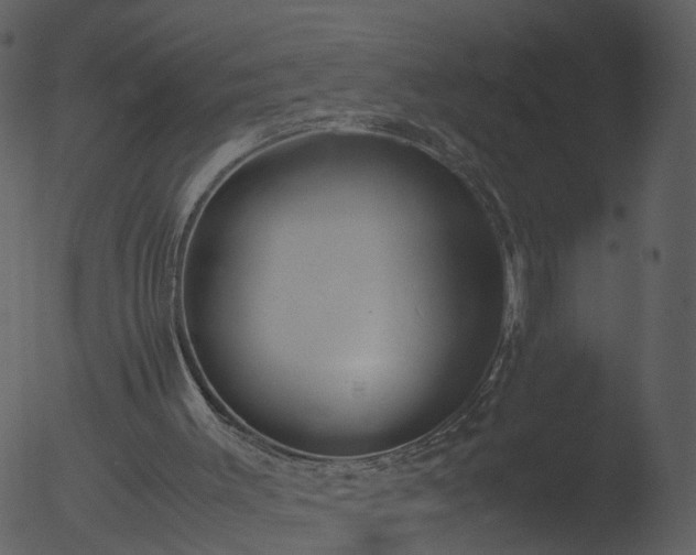 X0000053070003200507181638