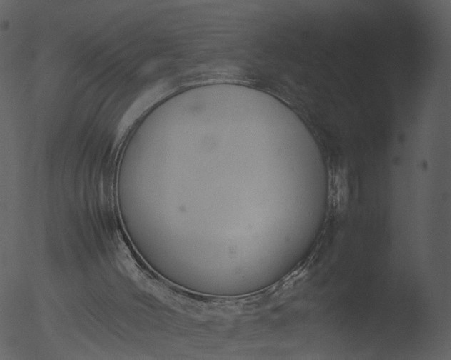 X0000053070004200507181638