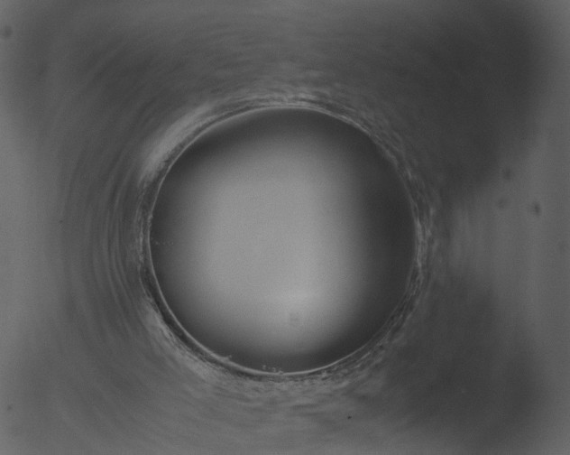 X0000053070005200507181638