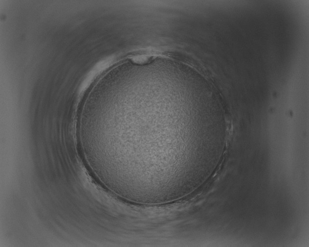 X0000053070006200507181638