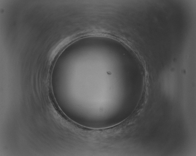 X0000053070007200507181638