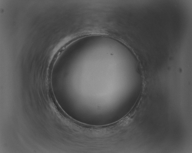 X0000053070008200507181638