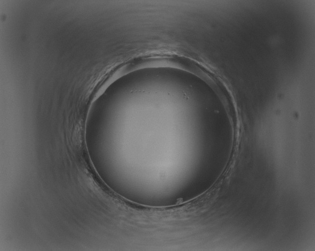 X0000053070009200507181638