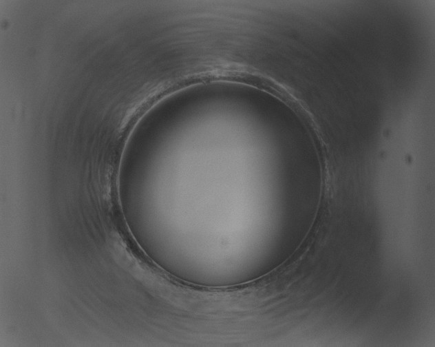 X0000053070010200507181638