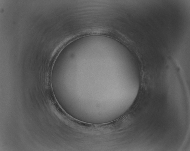 X0000053070012200507181638