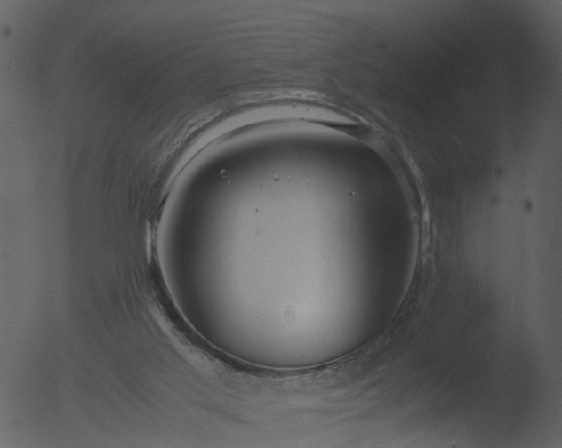 X0000053070013200507181638