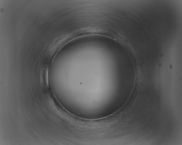 X0000053070014200507181638