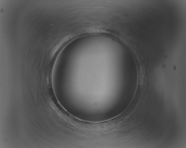 X0000053070015200507181638