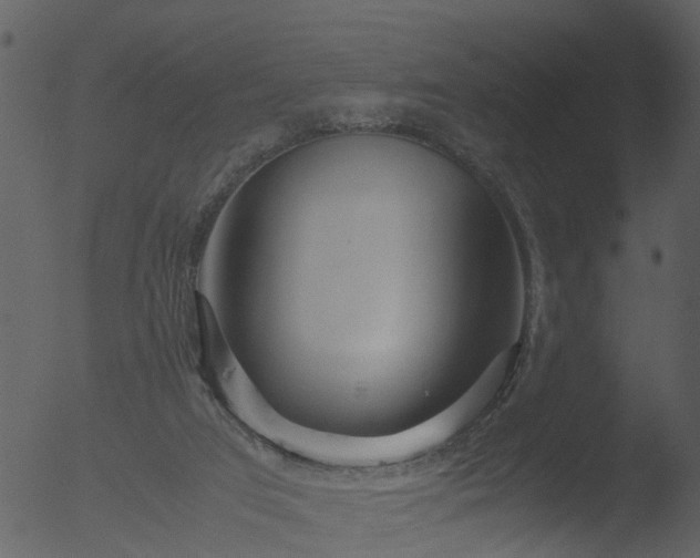 X0000053070017200507181638