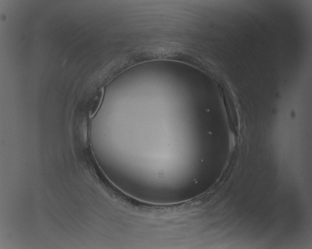 X0000053070021200507181638