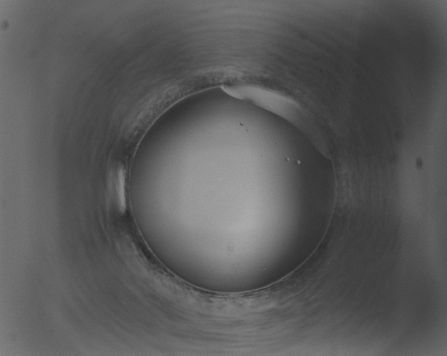 X0000053070022200507181638