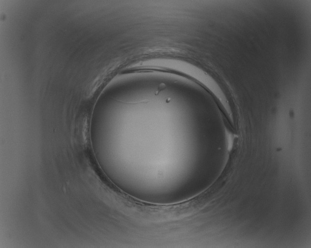 X0000053070023200507181638