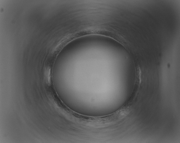 X0000053070024200507181638