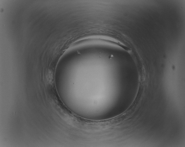 X0000053070025200507181638