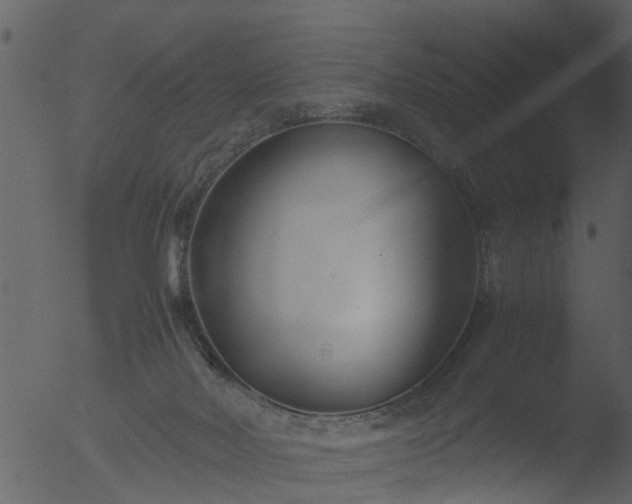 X0000053070026200507181638