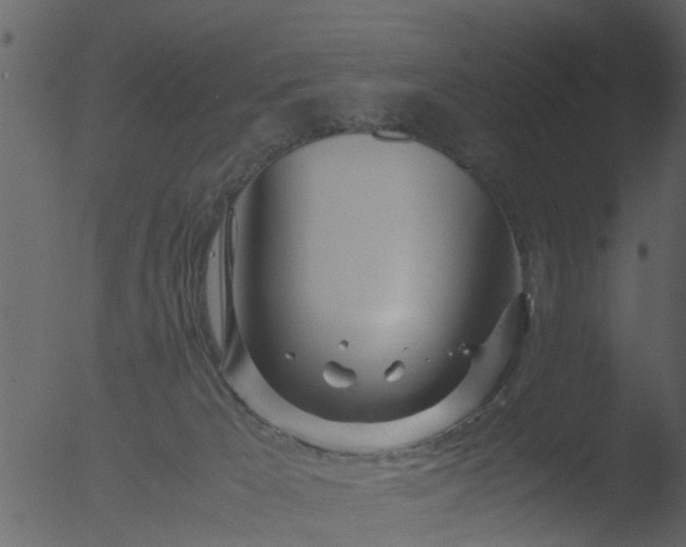 X0000053070029200507181638