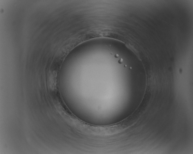 X0000053070030200507181638