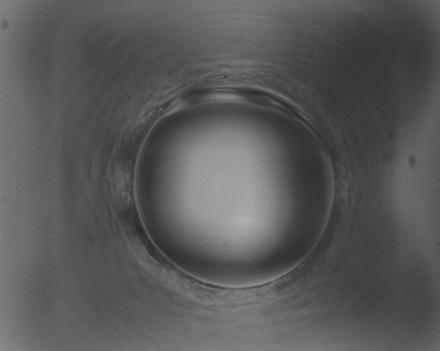 X0000053070031200507181638