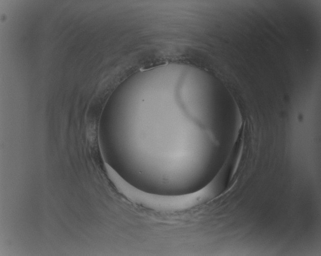 X0000053070033200507181638