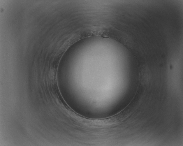 X0000053070034200507181638