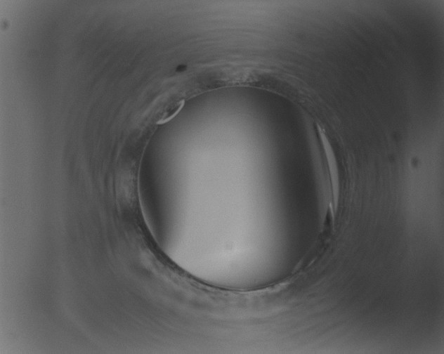 X0000053070035200507181638